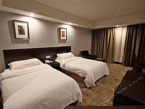 标准双人房(无窗)