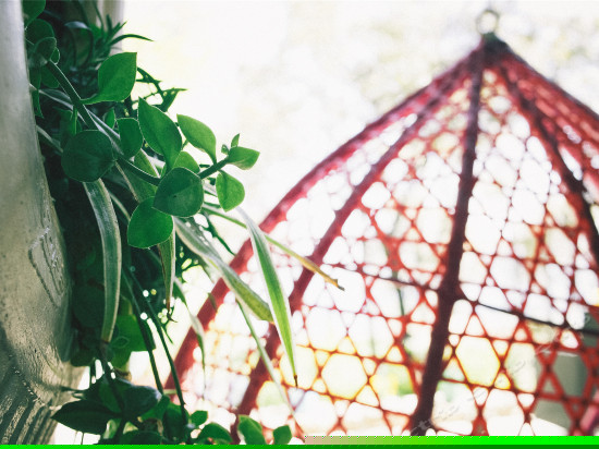 海景花园大床房