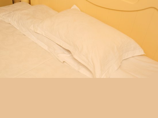 欧式电脑大床房