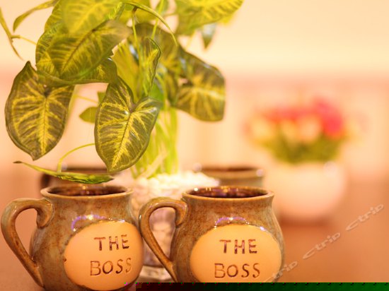 豪华海景两房两厅豪装套房