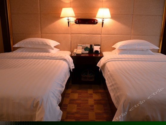 豪华双人房